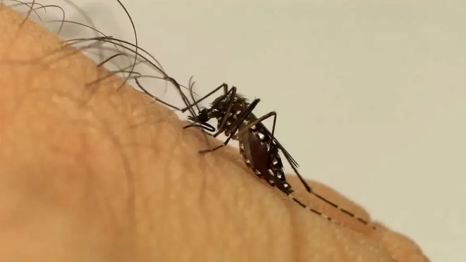 Foto: EBC